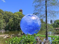 -深圳仙湖植物园
