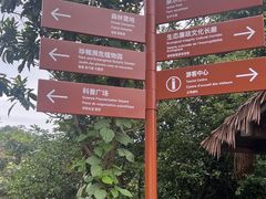 -广州市流溪河国家森林公园