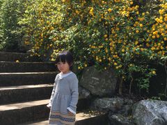 -白塔公园-儿童游乐园