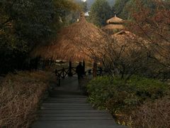 android_upload_pic-西湖茶墅