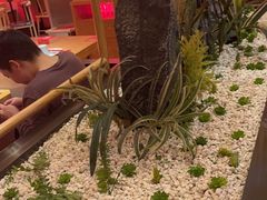 -何师傅美蛙鱼头(汉街店)