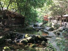 -天门沟九州驿站树上汤泉
