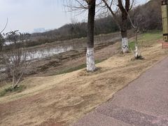 -盘龙城遗址博物院