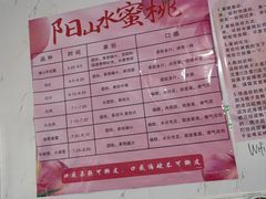 -老袁家蜜桃农场·阳山水蜜桃