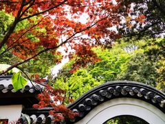 -汇龙潭