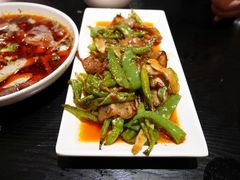 -夫妻肺片·中华老字号·正宗川菜(春熙路店)