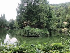-桂林古东瀑布景区