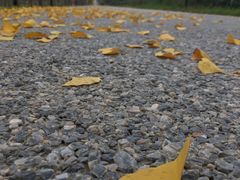 -汉长安城未央宫国家考古遗址公园