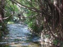 -燕晗山郊野公园