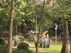 -晓港公园
