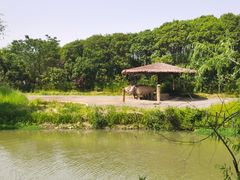 -宁波野生动物园