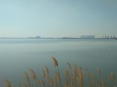 -天津东丽湖风景区