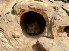 -费瑟代尔野生动物园