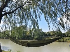 -东钱湖旅游度假区