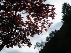 -叠溪松坪沟景区