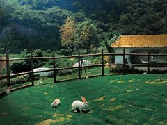 -焦作青龙峡风景名胜区