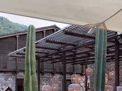 -MOJ coffee(瓯海泽雅水碓坑店)