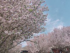 -恭王府博物馆