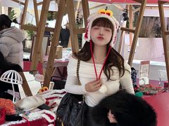 -武汉光谷K11