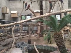 -大连森林动物园