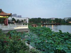 -西海子公园