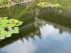 -吴道台府