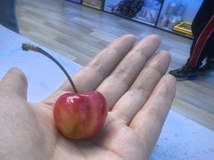 -智韵少儿丨围棋 硬笔书法练字(亚乐城校区)