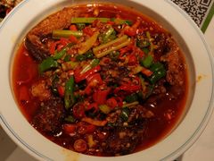 -欧记大排档·景德菜(上海首店)