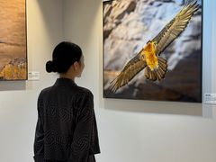 -西藏饭店·亚克·食光自助餐厅