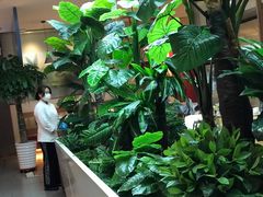 -悦海·家宴·冰花皮皮虾大锅贴(宝龙店)