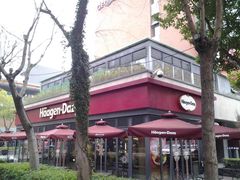 -哈根达斯(武汉天地店)