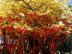 -济南方特东方神画