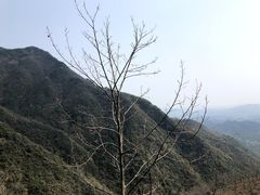 -东天目山风景区