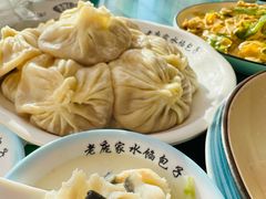 -老庞家水馅包子馆
