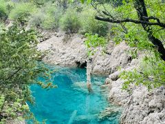 -九寨沟-树正沟