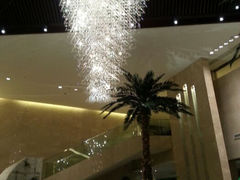 android_upload_pic-常州环球恐龙城维景国际大酒店