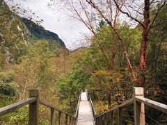 景点-叠溪松坪沟景区