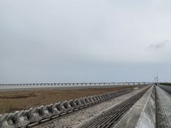 -南汇嘴观海公园