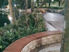 -人民公园(罗湖区)