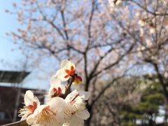 -仙游岛公园