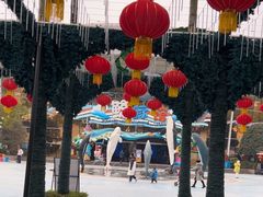 -海合安成都极地海洋公园