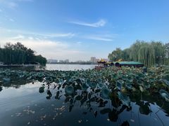 -济南大明湖景区