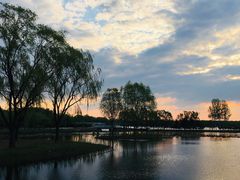 -大兴滨河森林公园