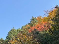 -佛慧山