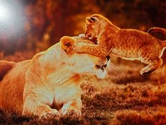 -罗红摄影艺术馆