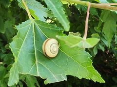 -哈尔滨北方森林动物园