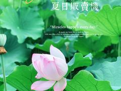 -莫催咖啡