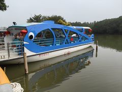 -大湾区中央湿地公园