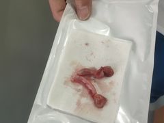 -佳怡动物医院·平价24小时·猫专科骨外科