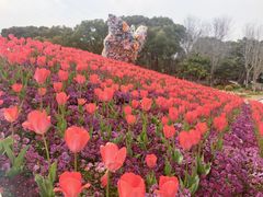 -上海鲜花港